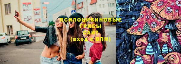 прущая мука Алзамай