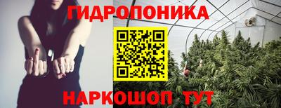 индика Пугачёв
