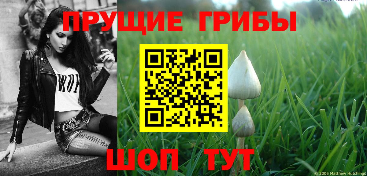 Псилоцибиновые грибы мицелий Туймазы