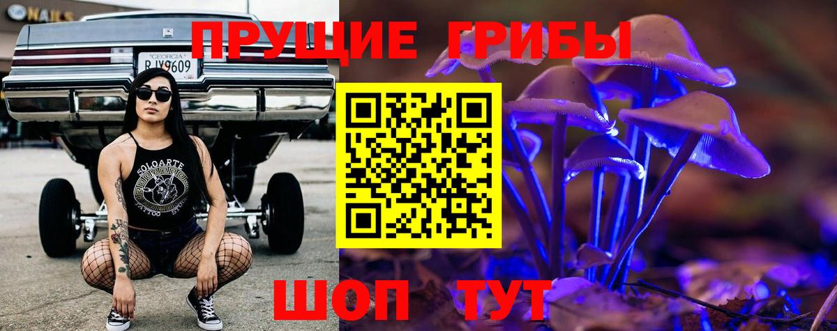 Галлюциногенные грибы Cubensis  Вход с VPN  Туймазы 